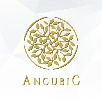 Ancubic