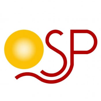 QSP Consultants
